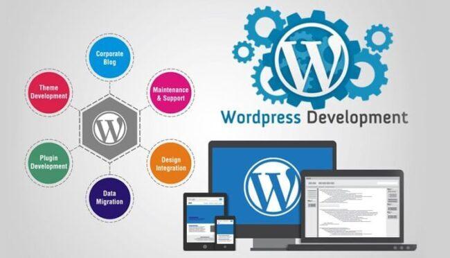 WordPress Development Company In The USA