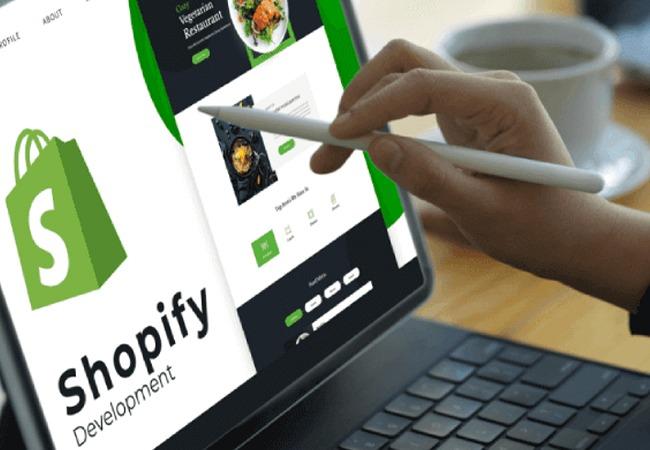 Shopify Drop-Shipping Business