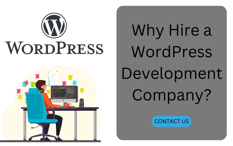 Why Hire a WordPress Development Company